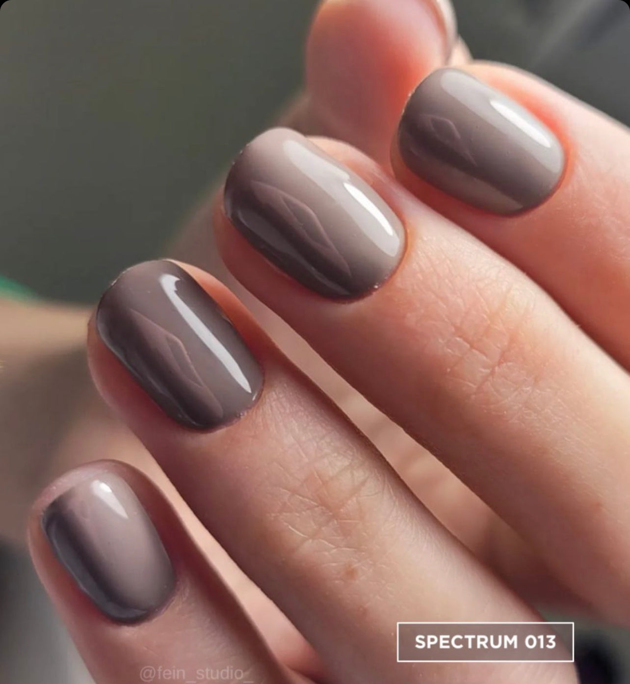 F.O.X Spectrum 013, 14 ml